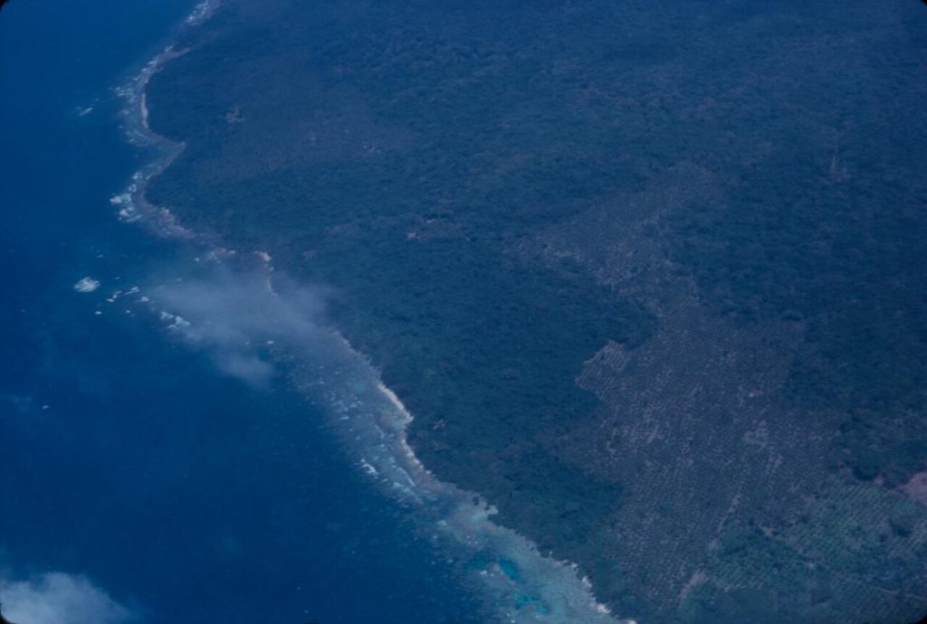Aerial view of the forested coastline and reef on Espiritu Santo in Vanuatu