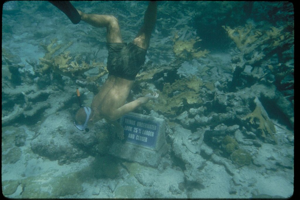 Snorkeller exploring the underwater trail at Buck Island Reef National Monument near St. Croix