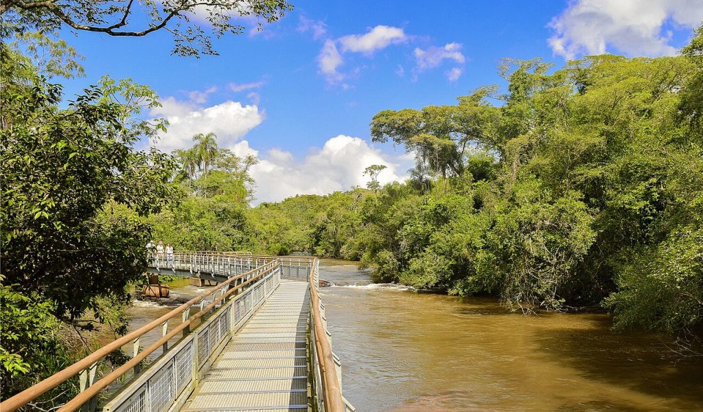 Visitor walkway crossing the river through subtropical forest in Iguazú National Park