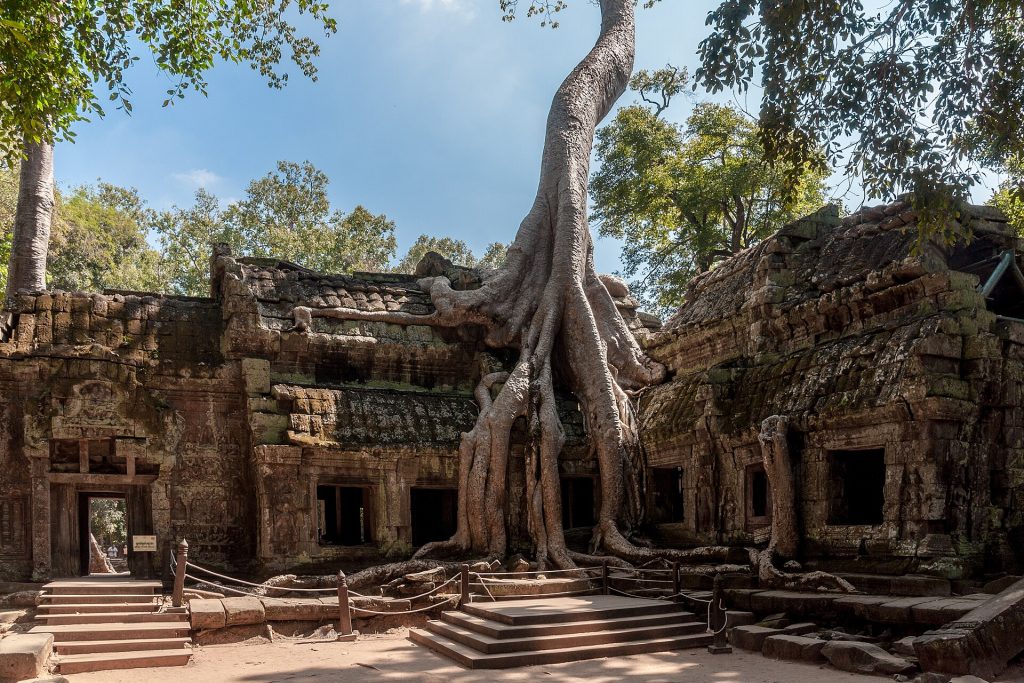 Angkor SiemReap Cambodia Tha-Prom-Temple-01