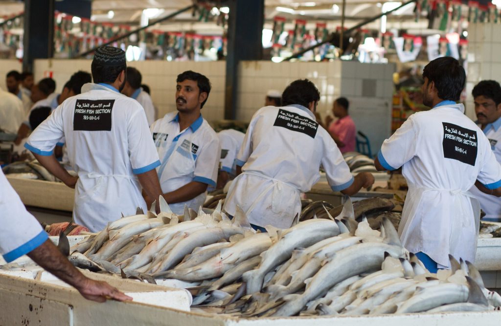 Dubai Fish Market 02