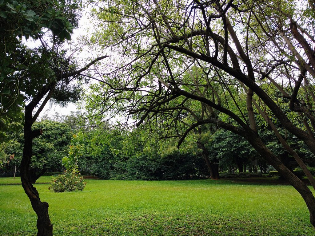 Lalbagh, Bengaluru, India