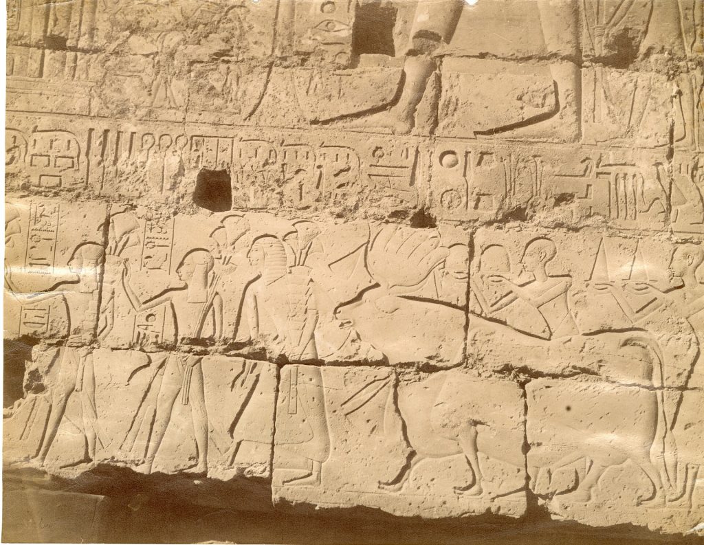 Theban region, Luxor temple, 19th century pictures, 1870-1888, photo 13 of 37 - Archivio fotografico Museo Egizio, Turin INV24 010