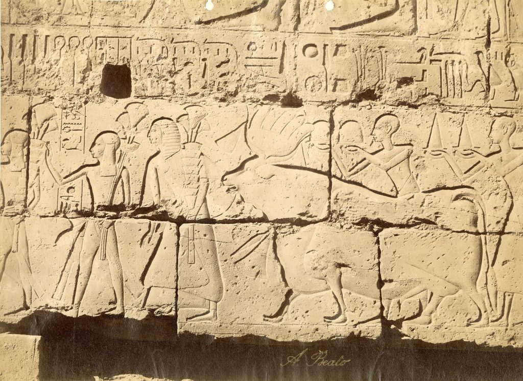 Theban region, Luxor temple, 19th century pictures, 1870-1888, photo 14 of 37 - Archivio fotografico Museo Egizio, Turin INV31 009