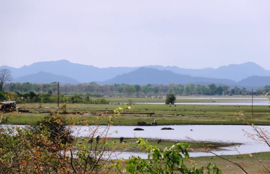 Matusadona National Park: A Lake Kariba Safari That Needs Real Planning