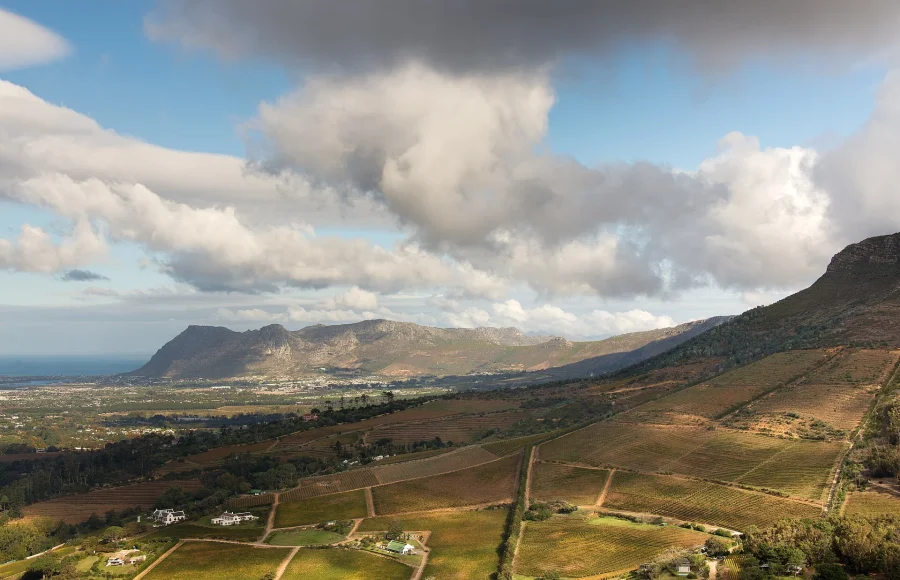 Constantia Wine Valley: A Slow Cape Town Day with History in View