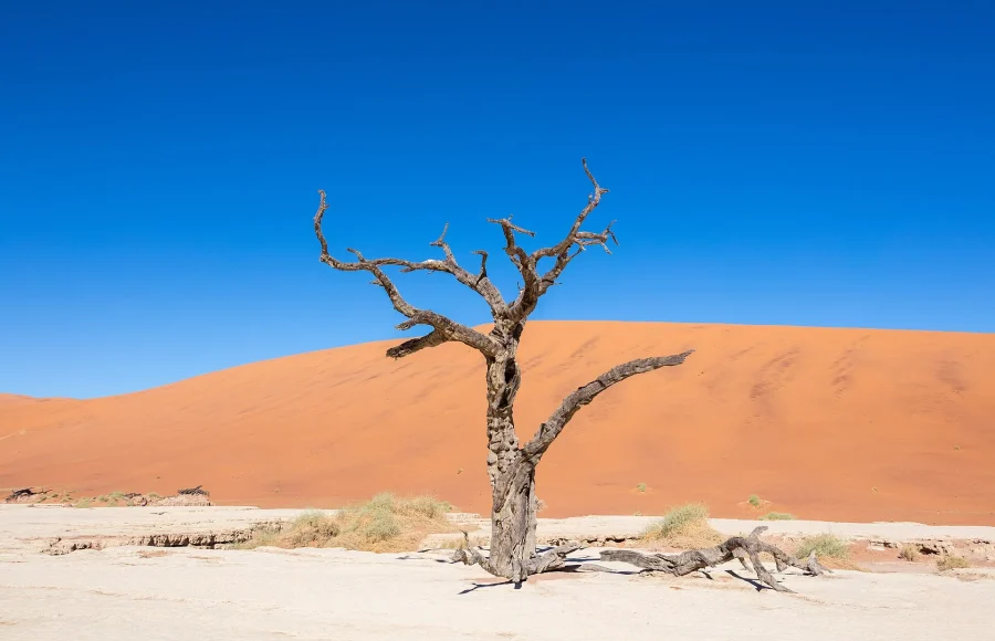 Sossusvlei Without the Rush: Dunes, Deadvlei and Desert Safety