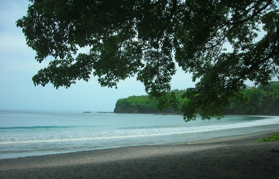 Four Seasons Peninsula Papagayo: Wildlife and Beach Time in Costa Rica