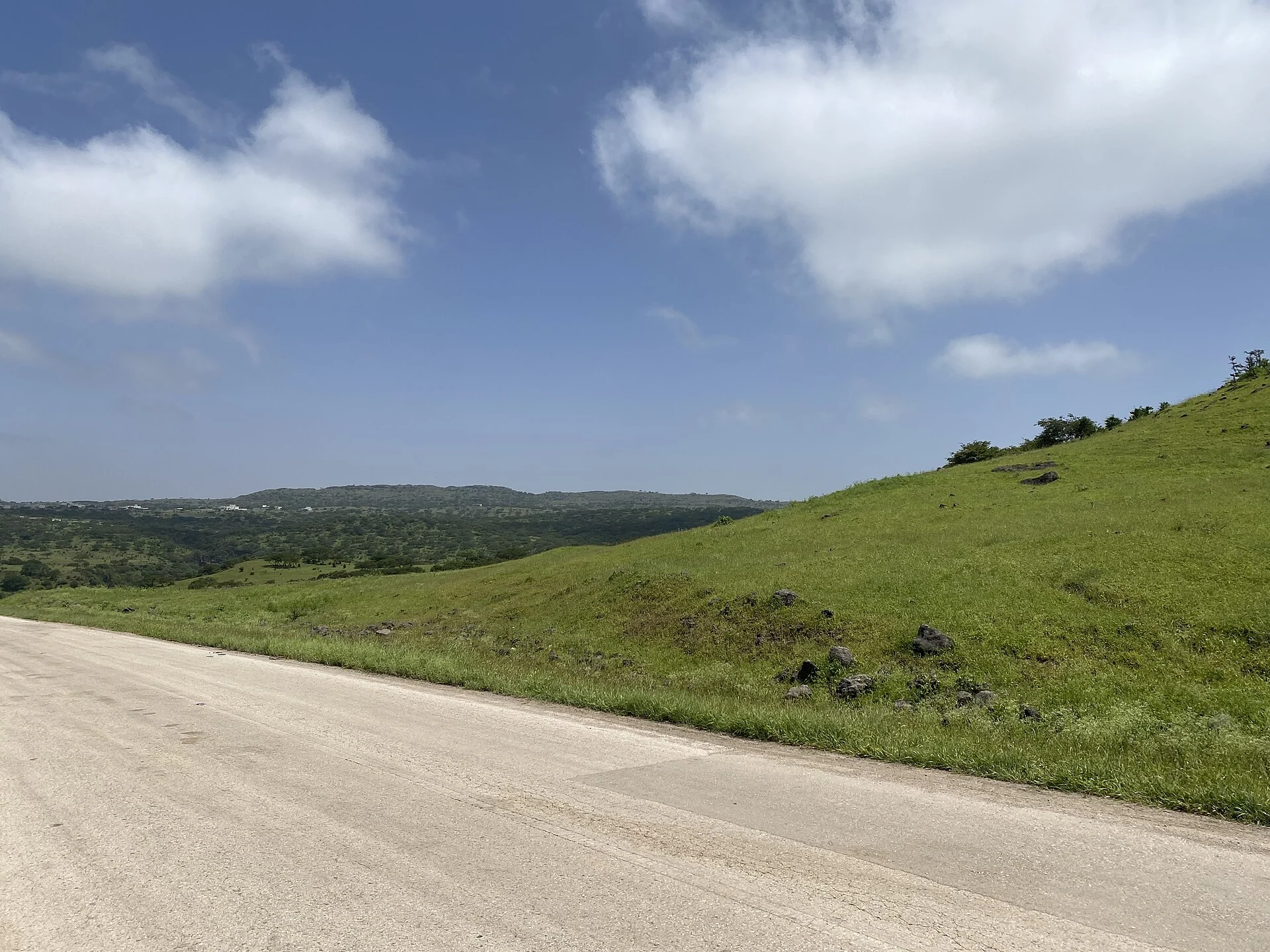 Salalah landscape meadows