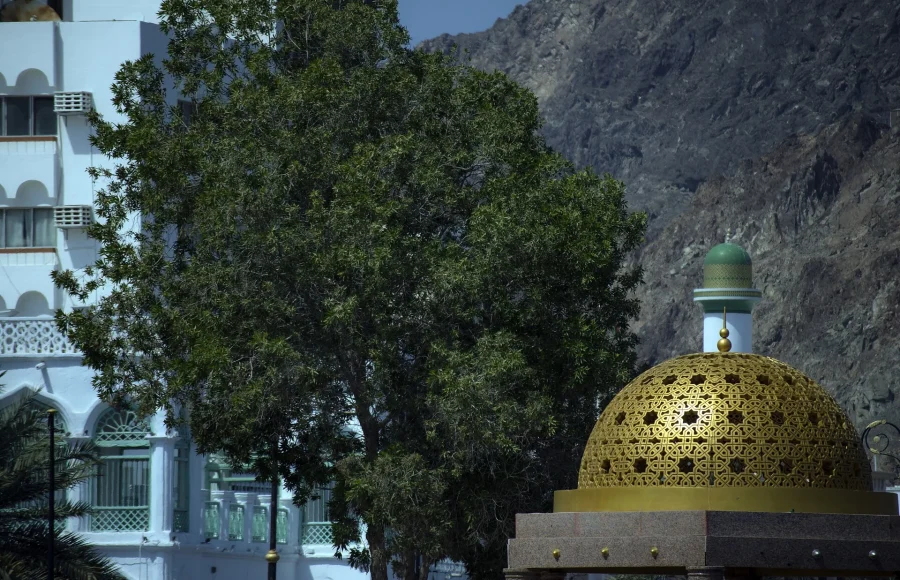 Muscat by the Water: Muttrah, Museums and a Respectful Mosque Visit