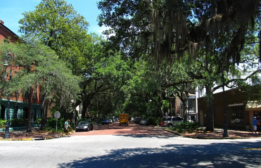 Savannah by Square: History, Shade and Honest Context