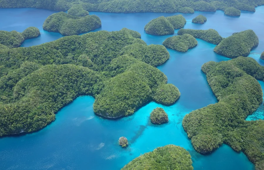 Palau Underwater and Above: A Conservation-Led Island Guide