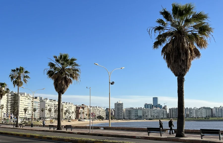 Montevideo by the Rambla: A Coastal Capital at Walking Pace