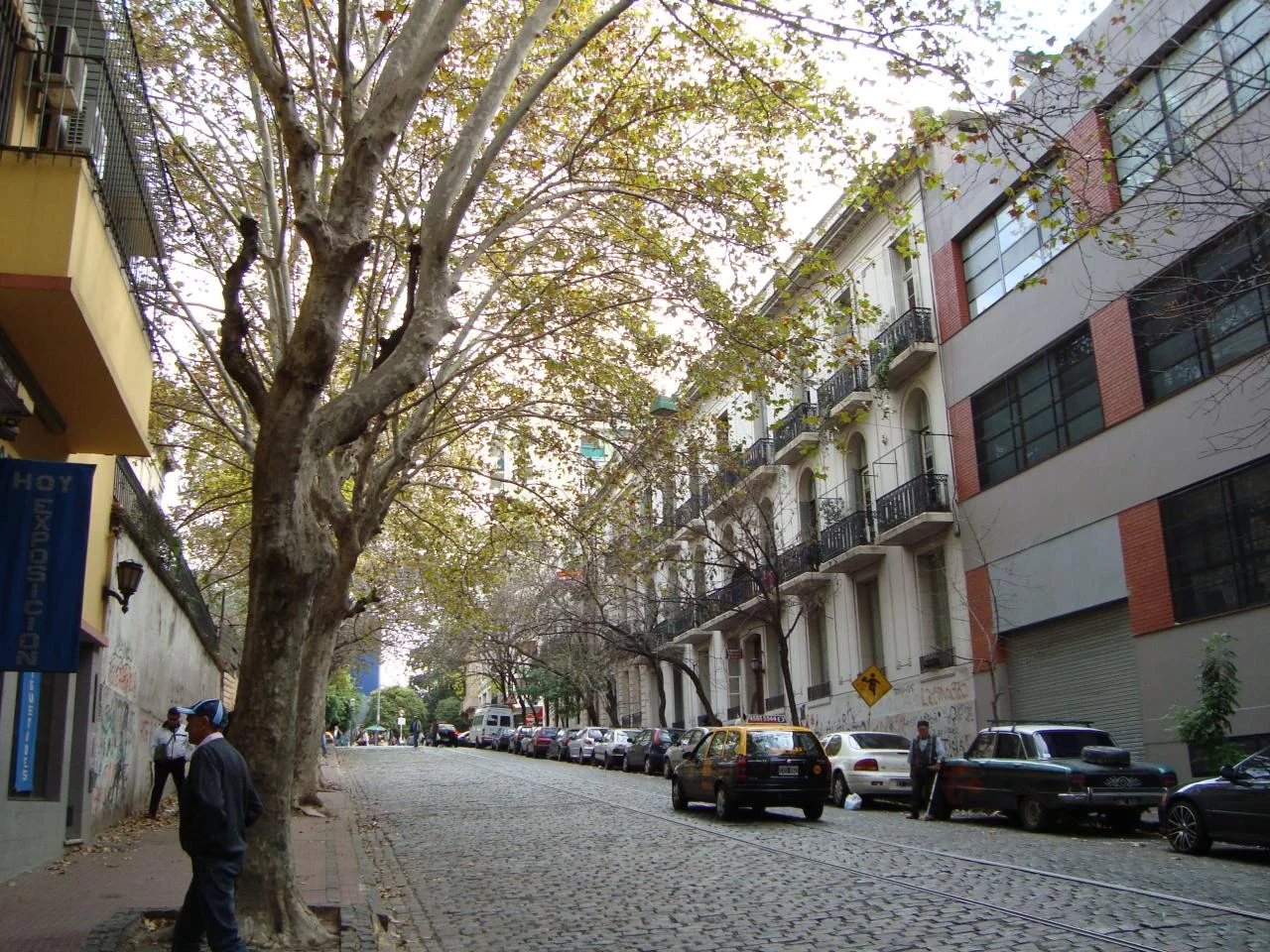 Buenos Aires 2009 - Calle (San Telmo) (3548156416)