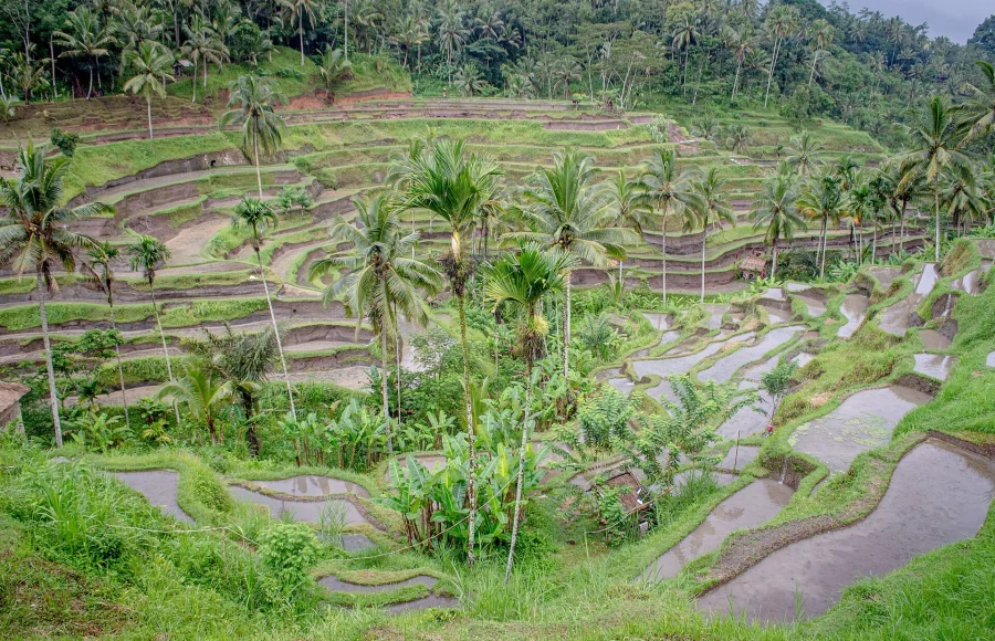 Bali with Context: Temples, Landscapes and Community Etiquette