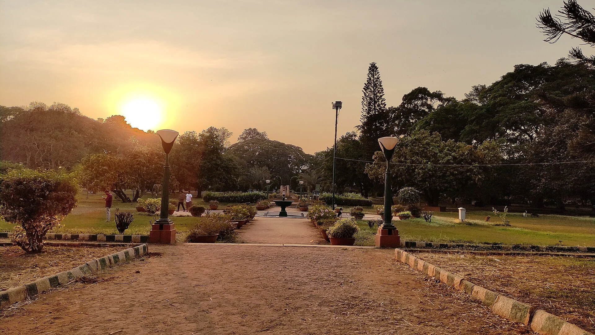 Lalbagh botanical garden, bengaluru, India 2