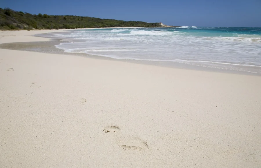 Half Moon Bay, Antigua: A Quiet Beach Day with an Atlantic Edge