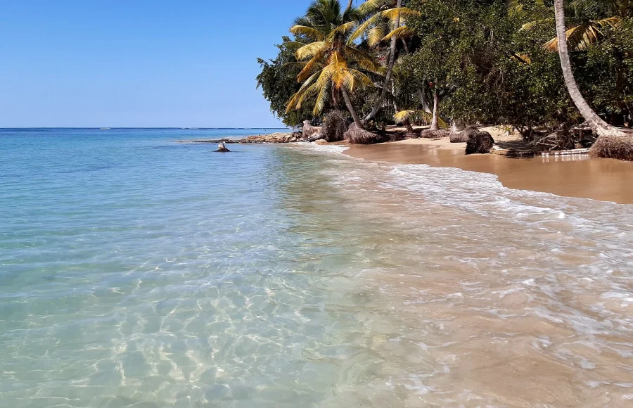 Samaná Peninsula: A Nature-First Route Through the Dominican Republic