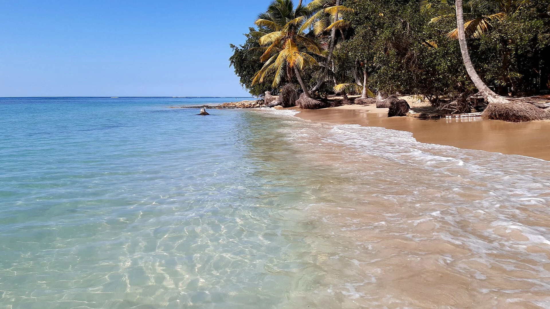 Playa Bonita Beach, Las Terrenas, Samana Peninsula, Dominican Republic (52757385491)