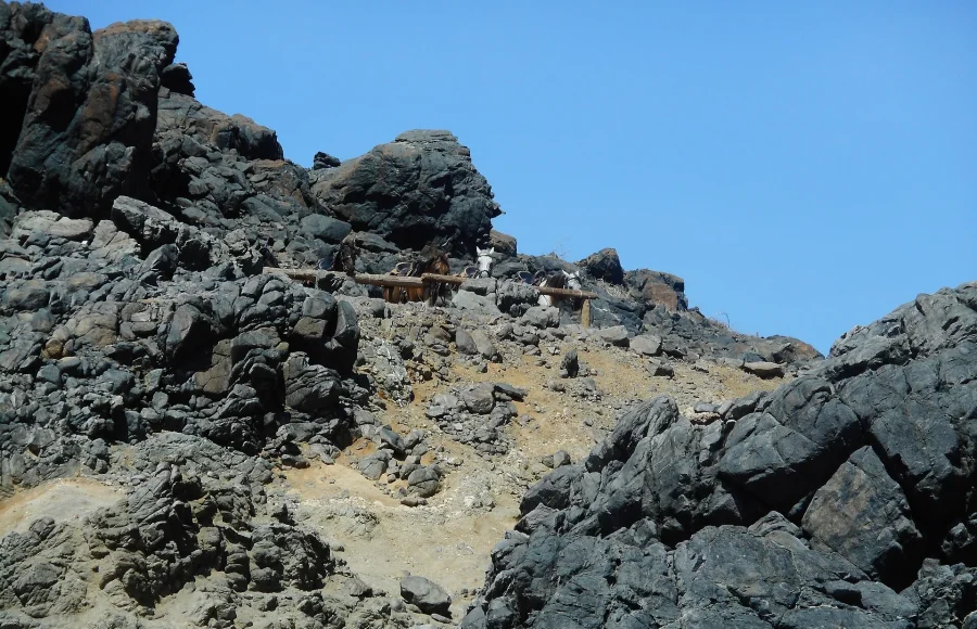 Aruba Beyond the Resort Strip: Arikok, San Nicolas and Coastal Contrast
