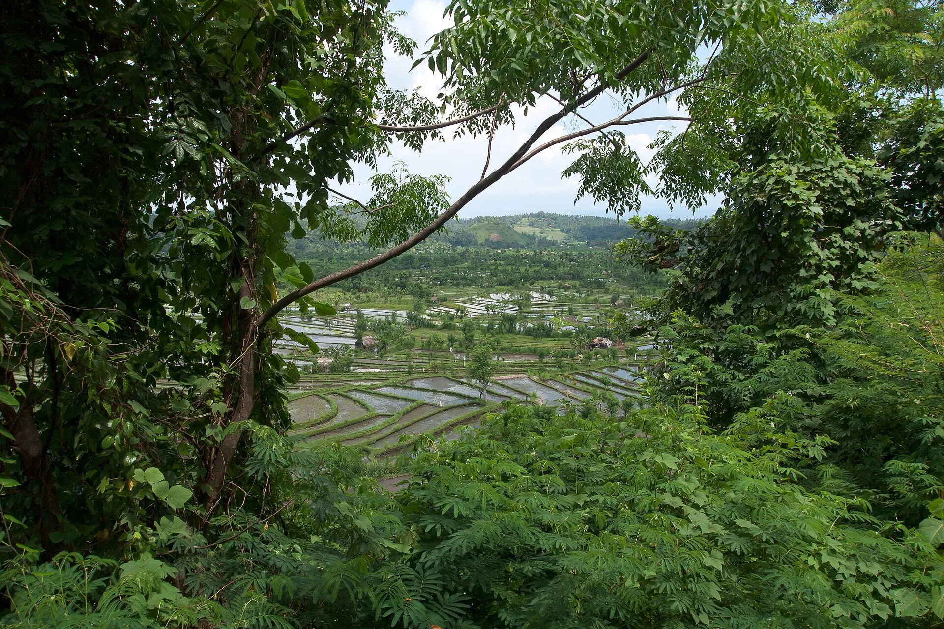 Landscape, Tirta Gangga, Bali