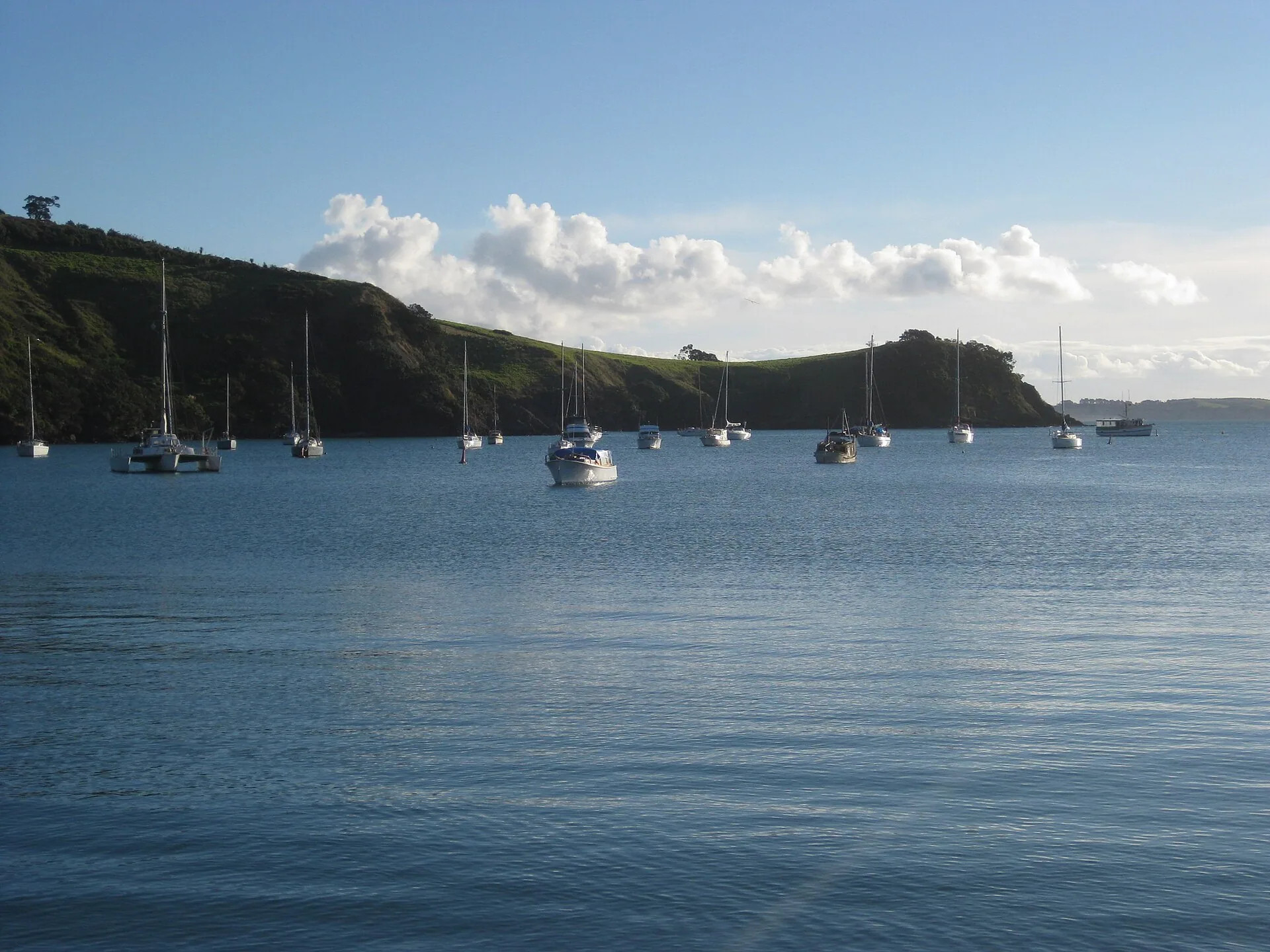 Waiheke Island, North Island, New Zealand