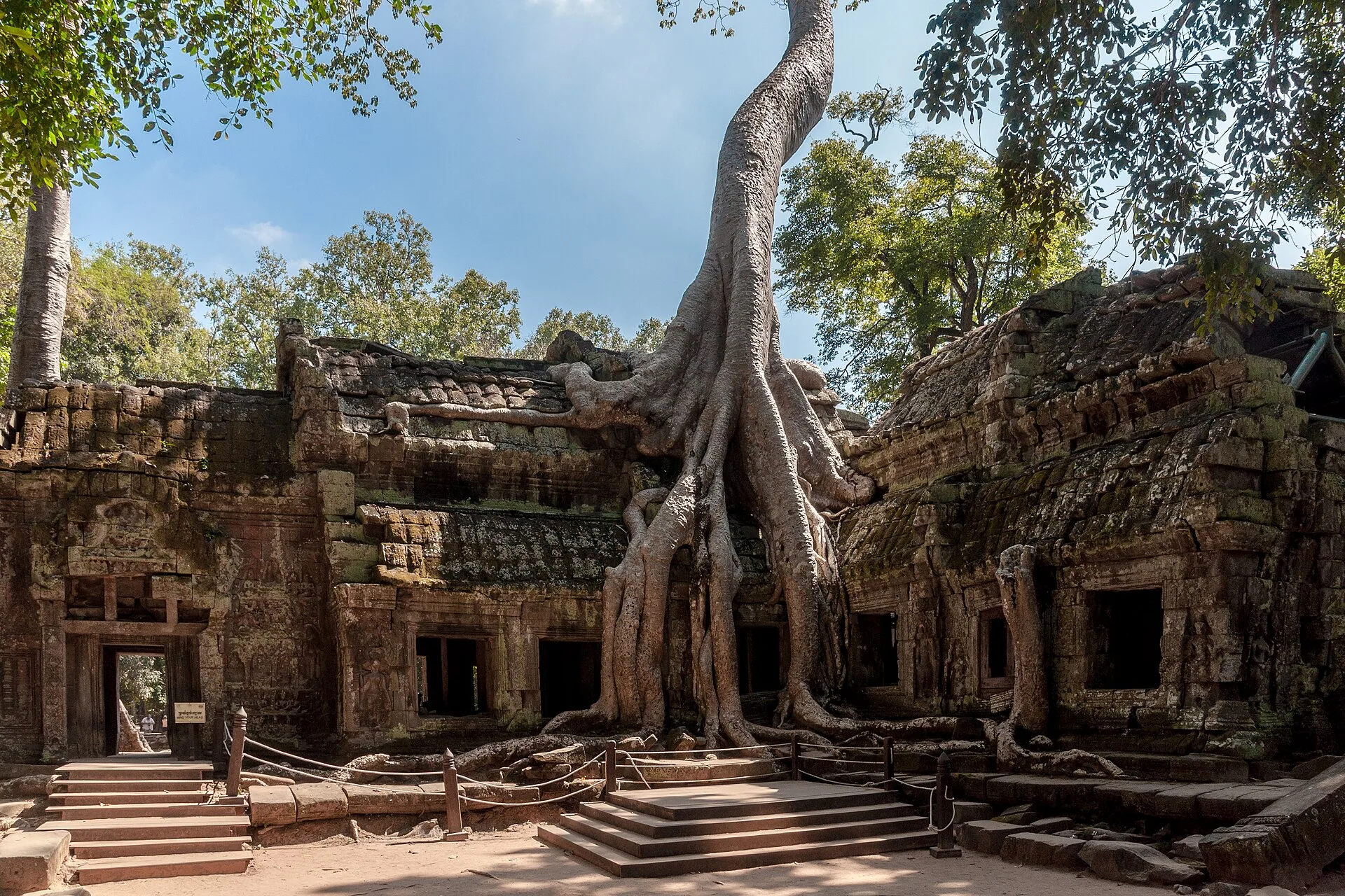 Ta Prohm temple among tree roots at Angkor