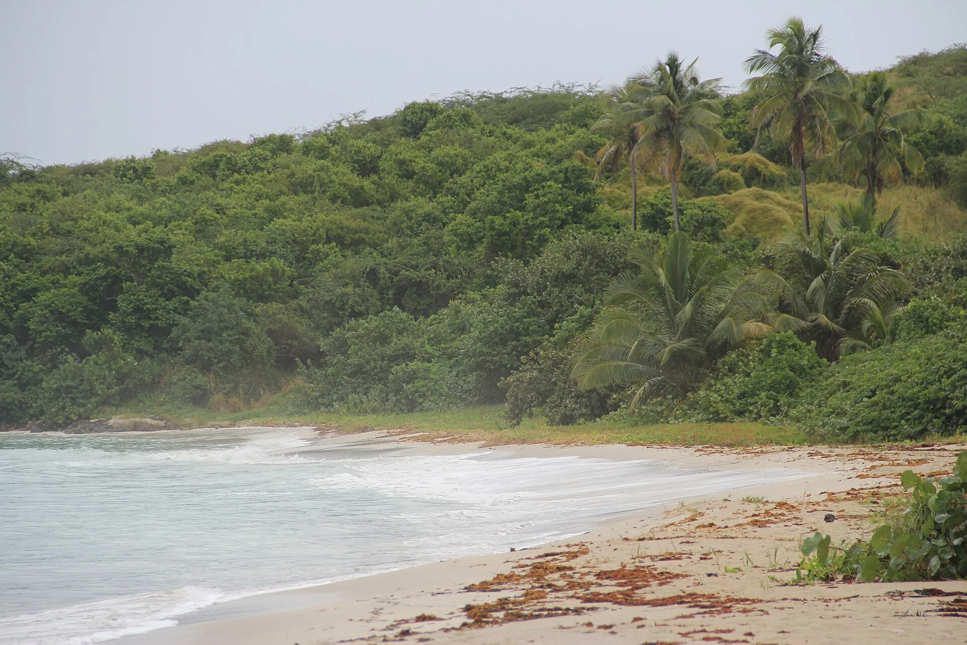 Zoni Beach on Northeastern coast of Culebra, Puerto Rico