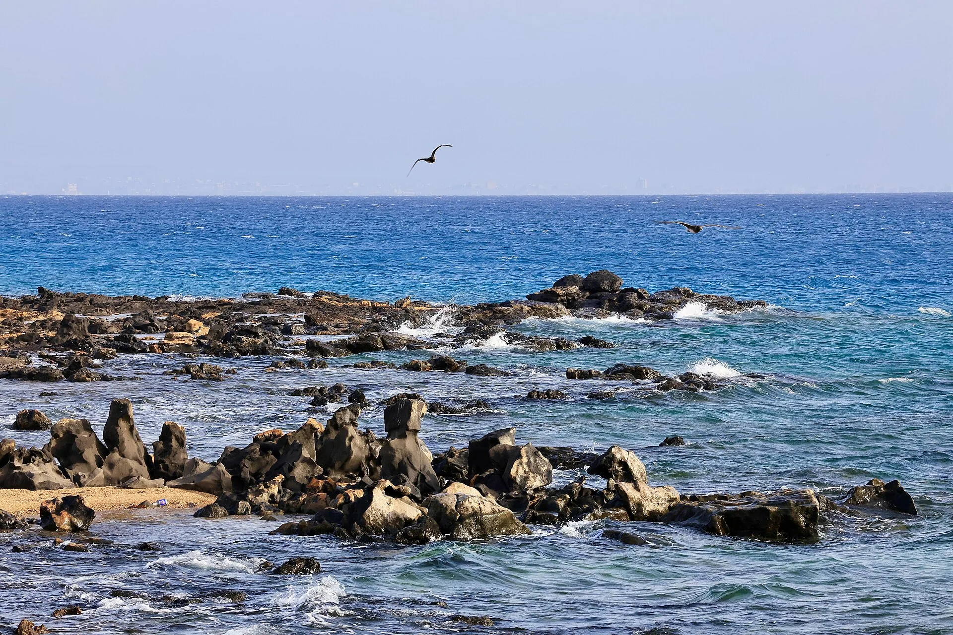Northern Harrat Beach on the Saudi Red Sea coast