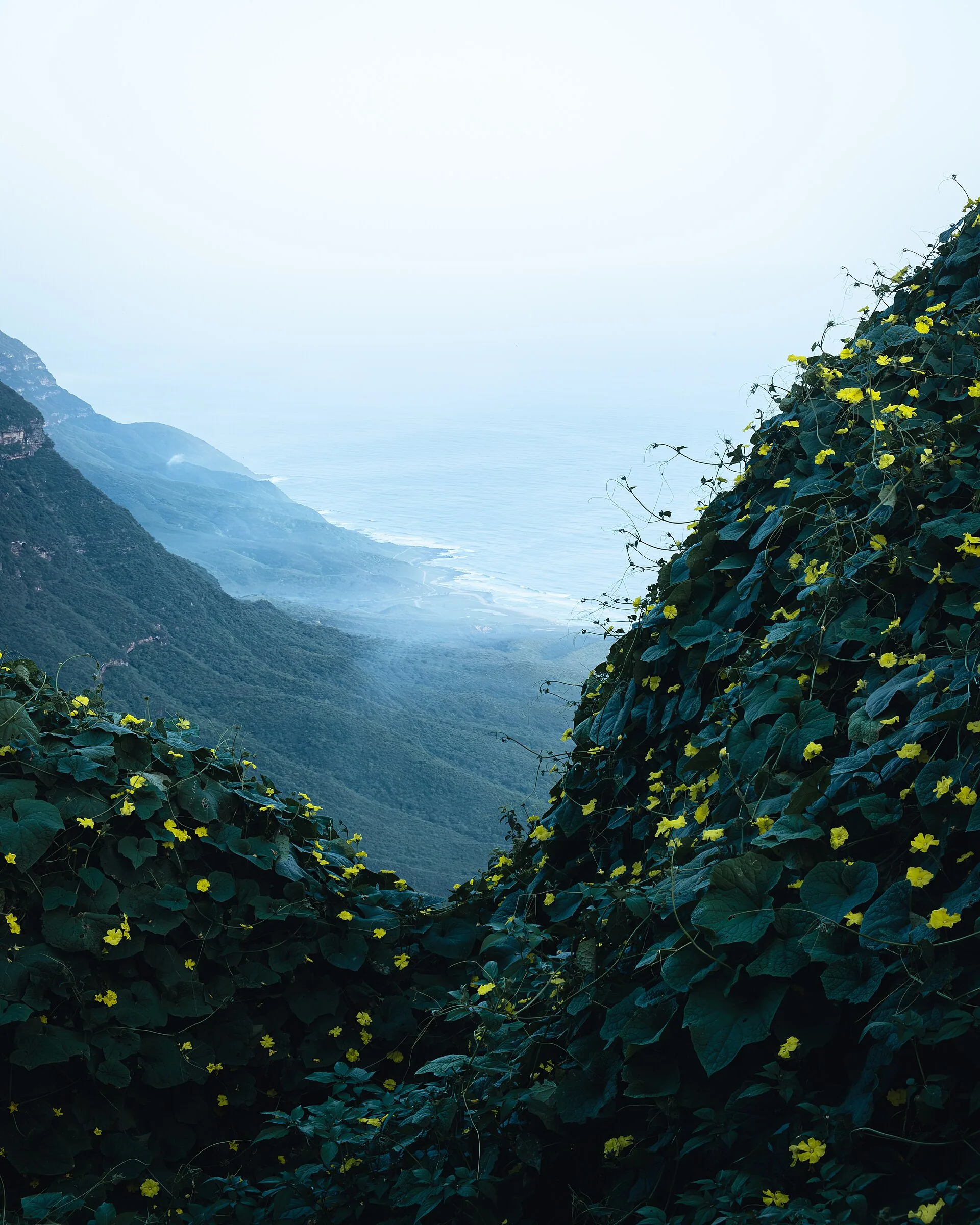 Coastal views, Salalah, Dhofar, Sultanate of Oman