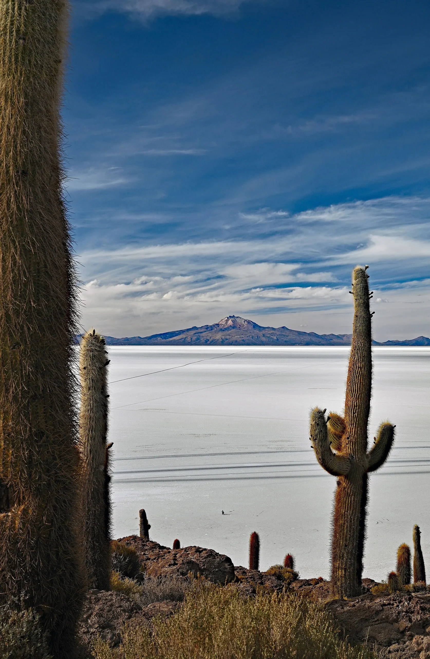 Bolivia - Salar de Uyuni from Incahuasi