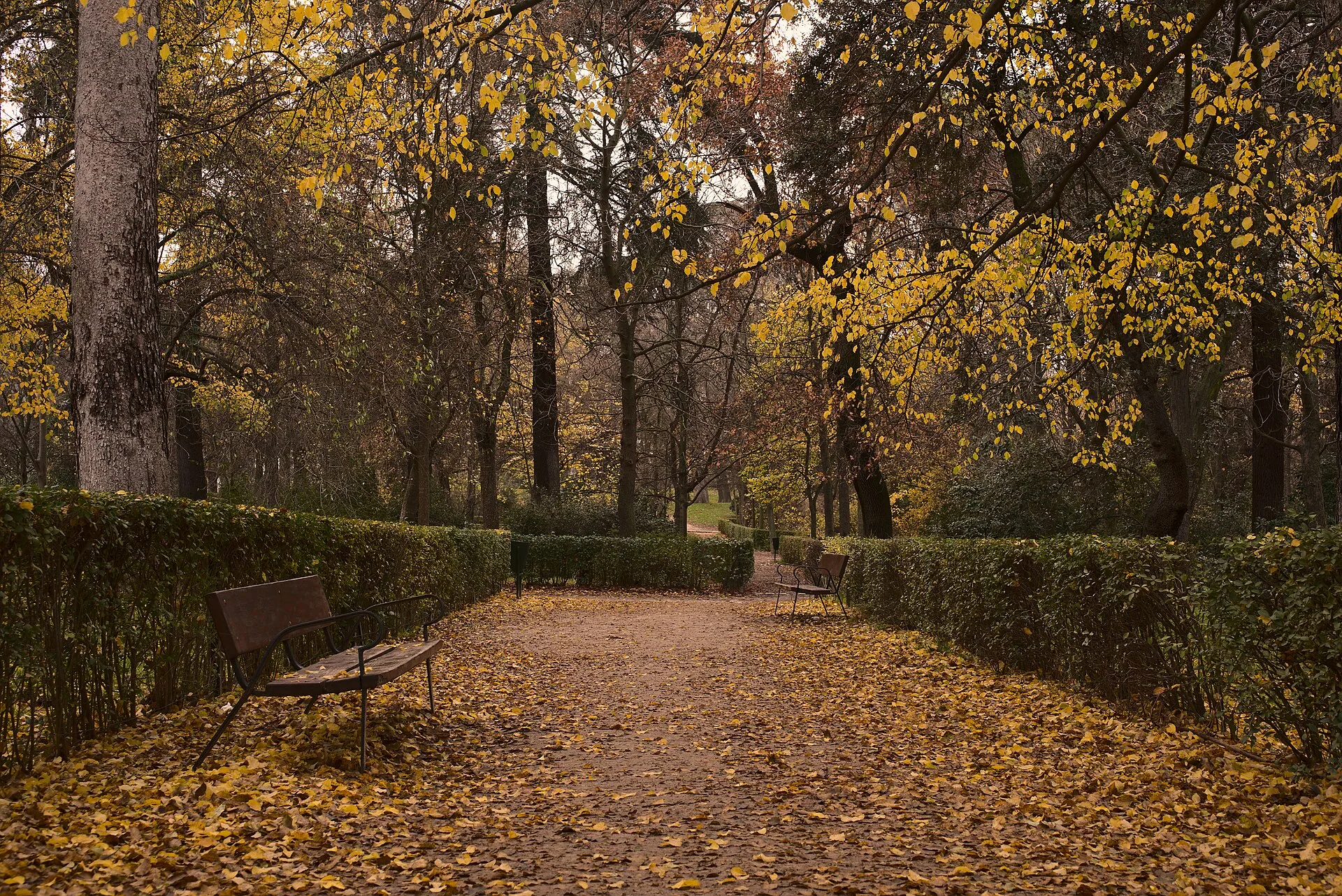 Autumn in Retiro Park - Madrid